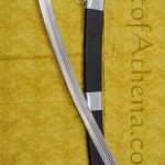 Shashka Saber