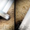 Albion Hersir Viking Sword