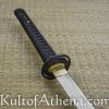 Ronin Katana Dojo-Pro Model 21