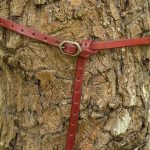 Godfrey Belt - Red - 66'' / 170 cm