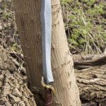 RFB Elven Sword - 29.6'' - Foam Sword