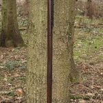Battle Scythe - 74 3/4'' - Foam Weapon