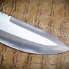 The Rogue's Tooth - Fighting Knife