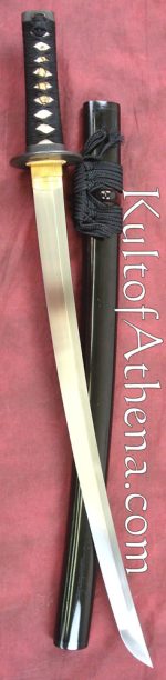 Ronin Katana Dojo-Pro Wakizashi Model 1