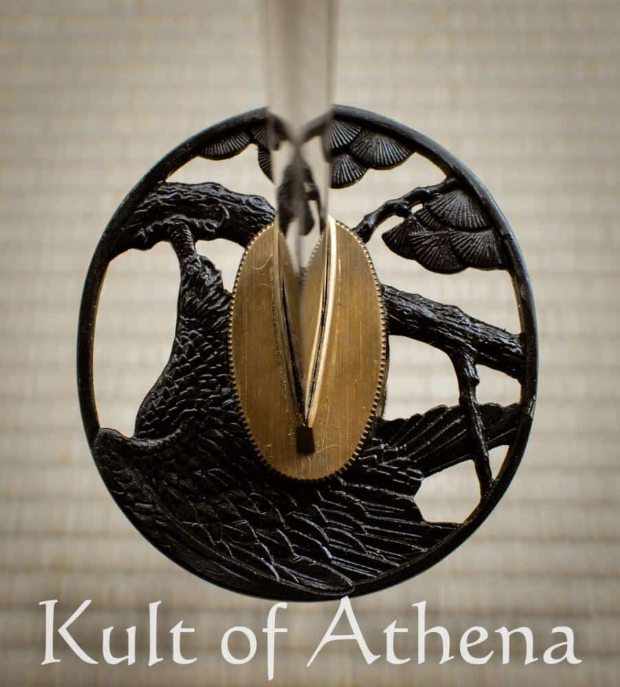 ショウタロウ Hanwei Raptor Moroha Zukuri Katana