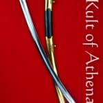 Napoleonic French Hussar Saber - Universal Swords