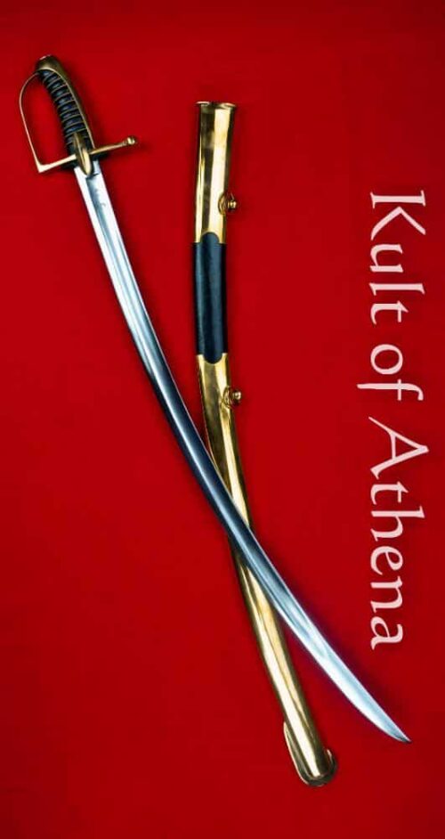 Napoleonic French Hussar Saber - Universal Swords