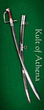Napoleonic French Hussar Saber - Universal Swords Standard Grade