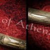 Napoleonic Imperial Guard Light Cavalry Saber with blued-gilt blade - Universal Swords - Image 13