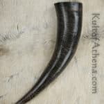 Buffalo Drinking Horn