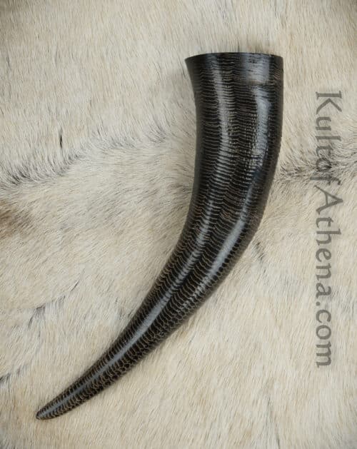 Buffalo Drinking Horn