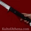 Honshu Boshin Wakizashi