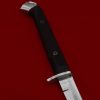 Honshu Boshin Wakizashi