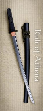 Dragon King - Modern Wakizashi
