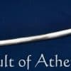 Polish Army Saber 1934 Pattern - Universal Swords - Image 11