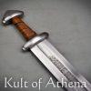 Gunther - 9th to 10th Century Viking Sword- Sport Combat Version - Deepeeka