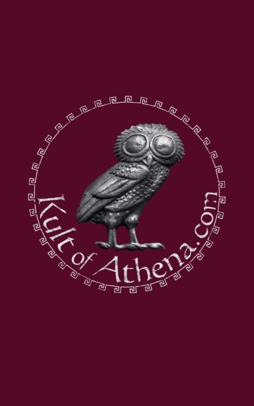 Owl of Athena Hoodie